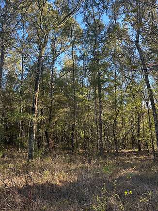 222 Acres of Recreational Land for Sale in Millry, Alabama