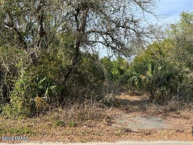 0.25 Acres of Residential Land for Sale in Paisley, Florida