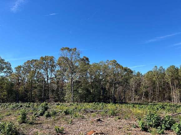 29.1 Acres of Agricultural Land for Sale in Saluda, South Carolina