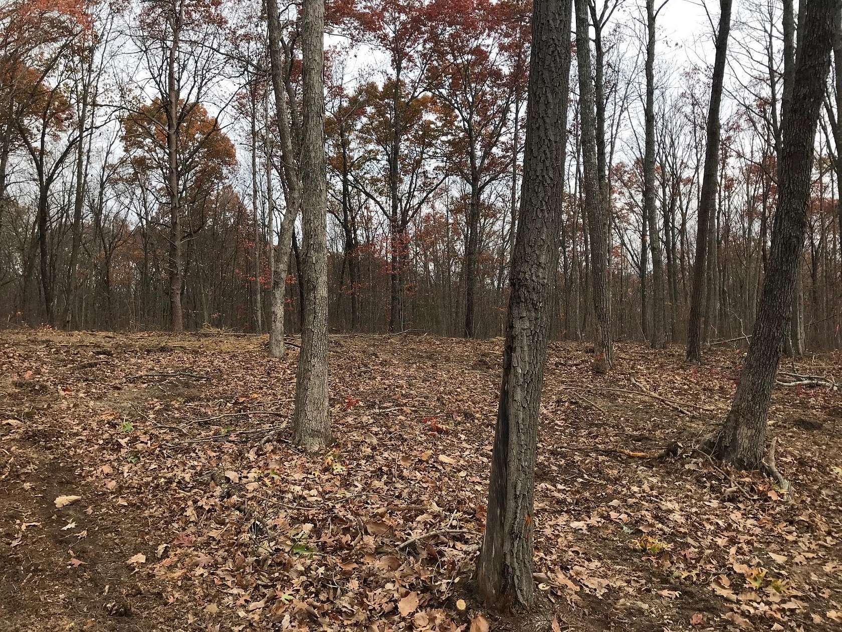 5.21 Acres of Residential Land for Sale in Dunlap, Tennessee