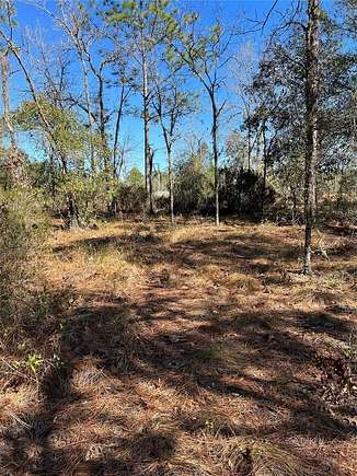 1.78 Acres of Residential Land for Sale in Bronson, Florida