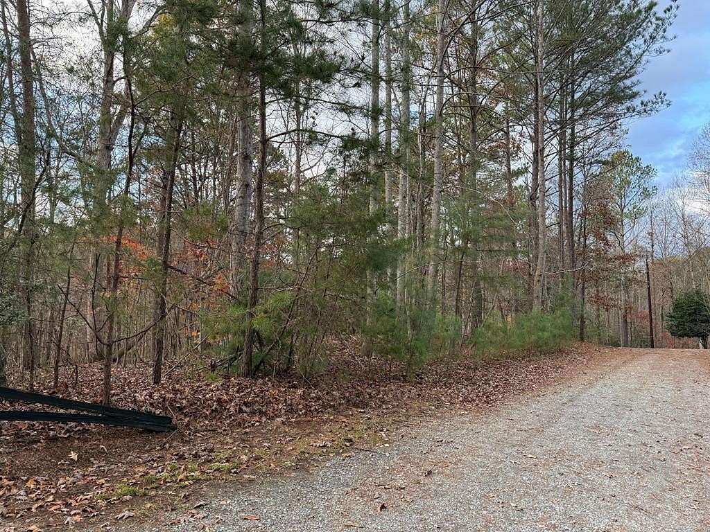 0.64 Acres of Residential Land for Sale in Ellijay, Georgia