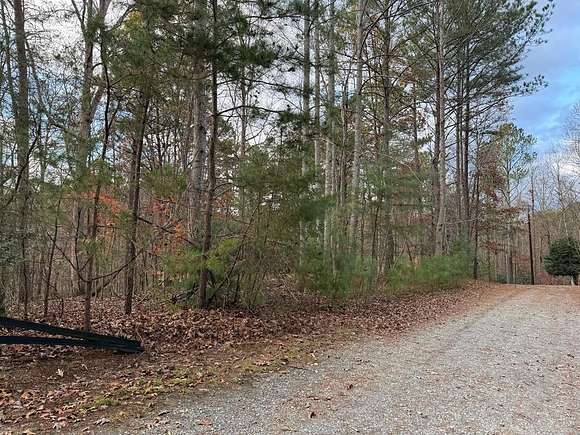 0.64 Acres of Residential Land for Sale in Ellijay, Georgia