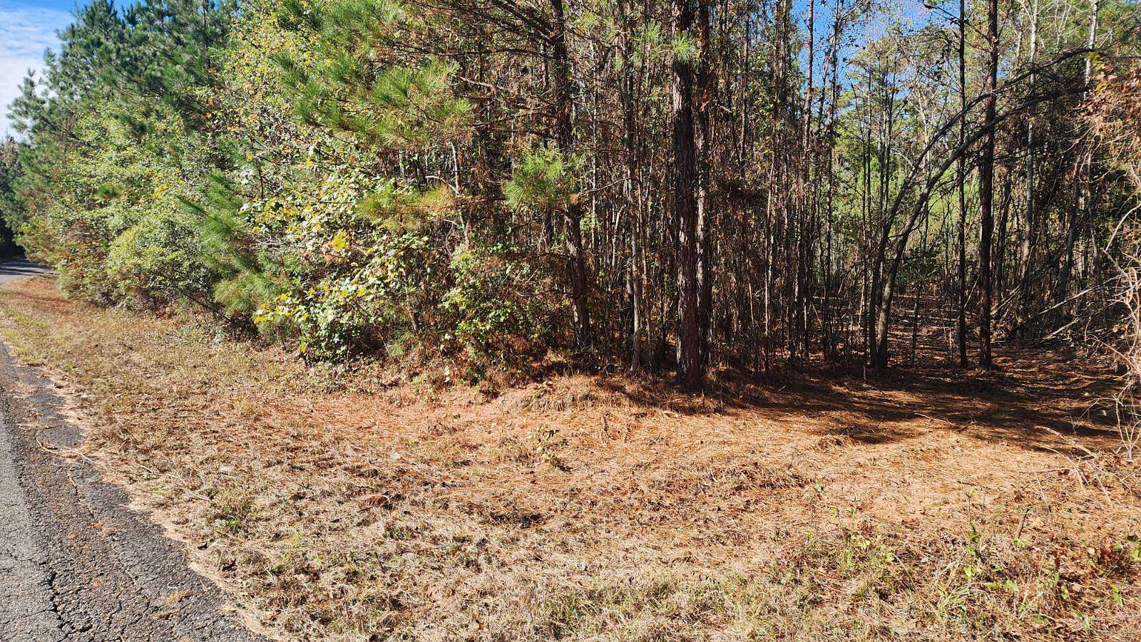 8 Acres of Agricultural Land for Sale in Greensboro, Alabama