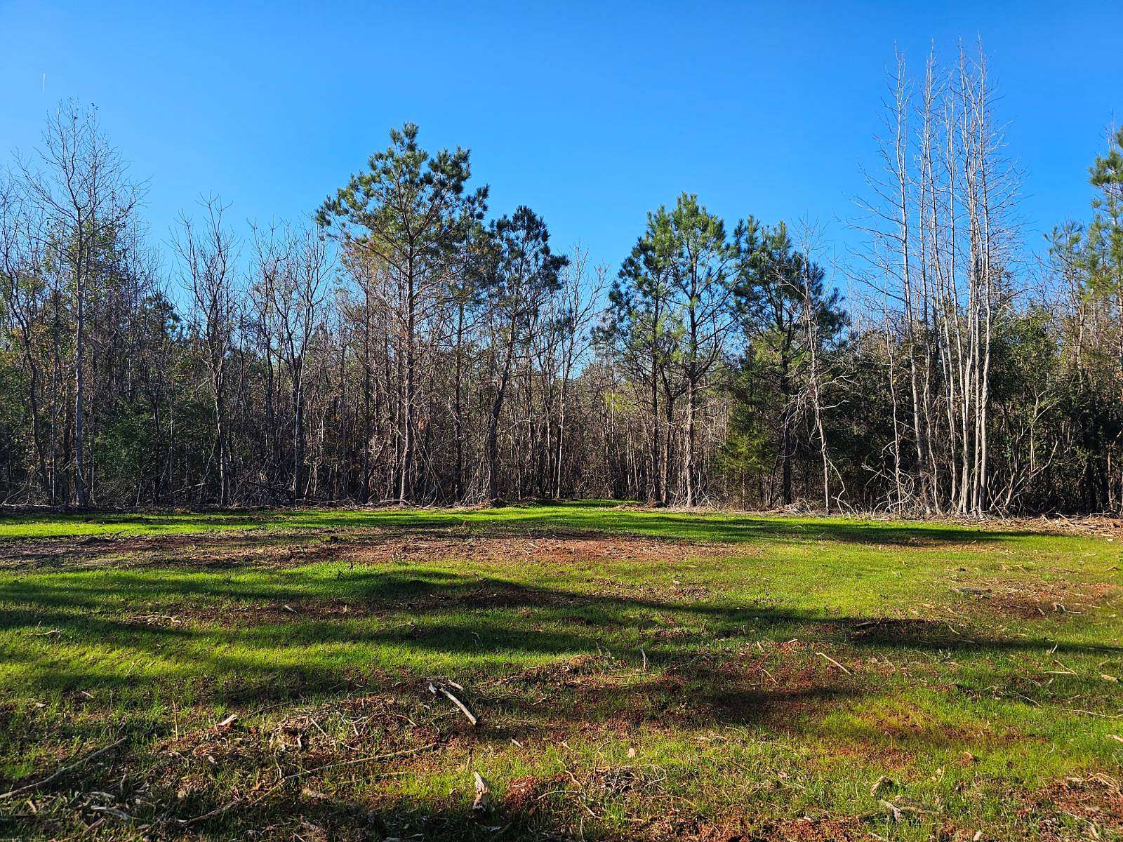 8 Acres of Agricultural Land for Sale in Greensboro, Alabama