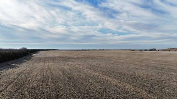 81.2 Acres of Agricultural Land for Auction in Avon, South Dakota