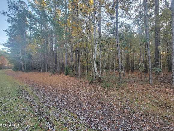 3.77 Acres of Residential Land for Sale in Oriental, North Carolina