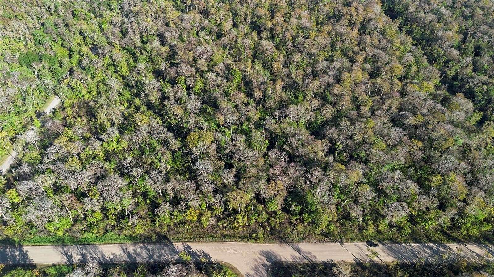 1.71 Acres of Residential Land for Sale in Bunnell, Florida