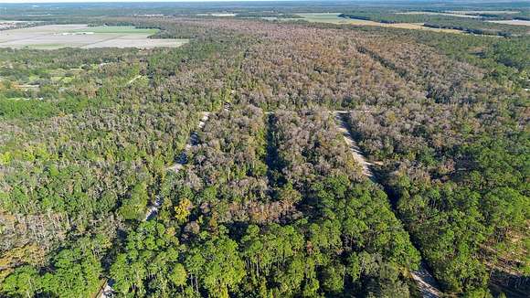 1.71 Acres of Residential Land for Sale in Bunnell, Florida