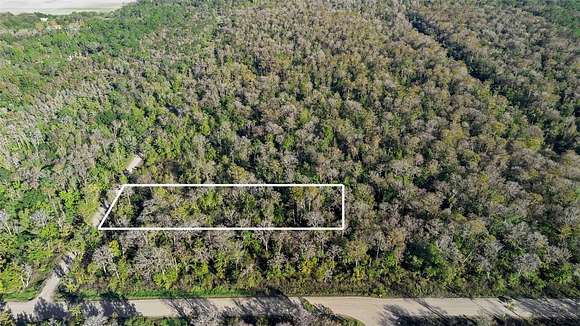 1.71 Acres of Residential Land for Sale in Bunnell, Florida