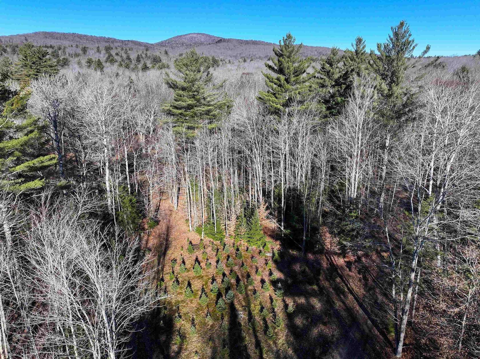 12.6 Acres of Land for Sale in Ripton, Vermont