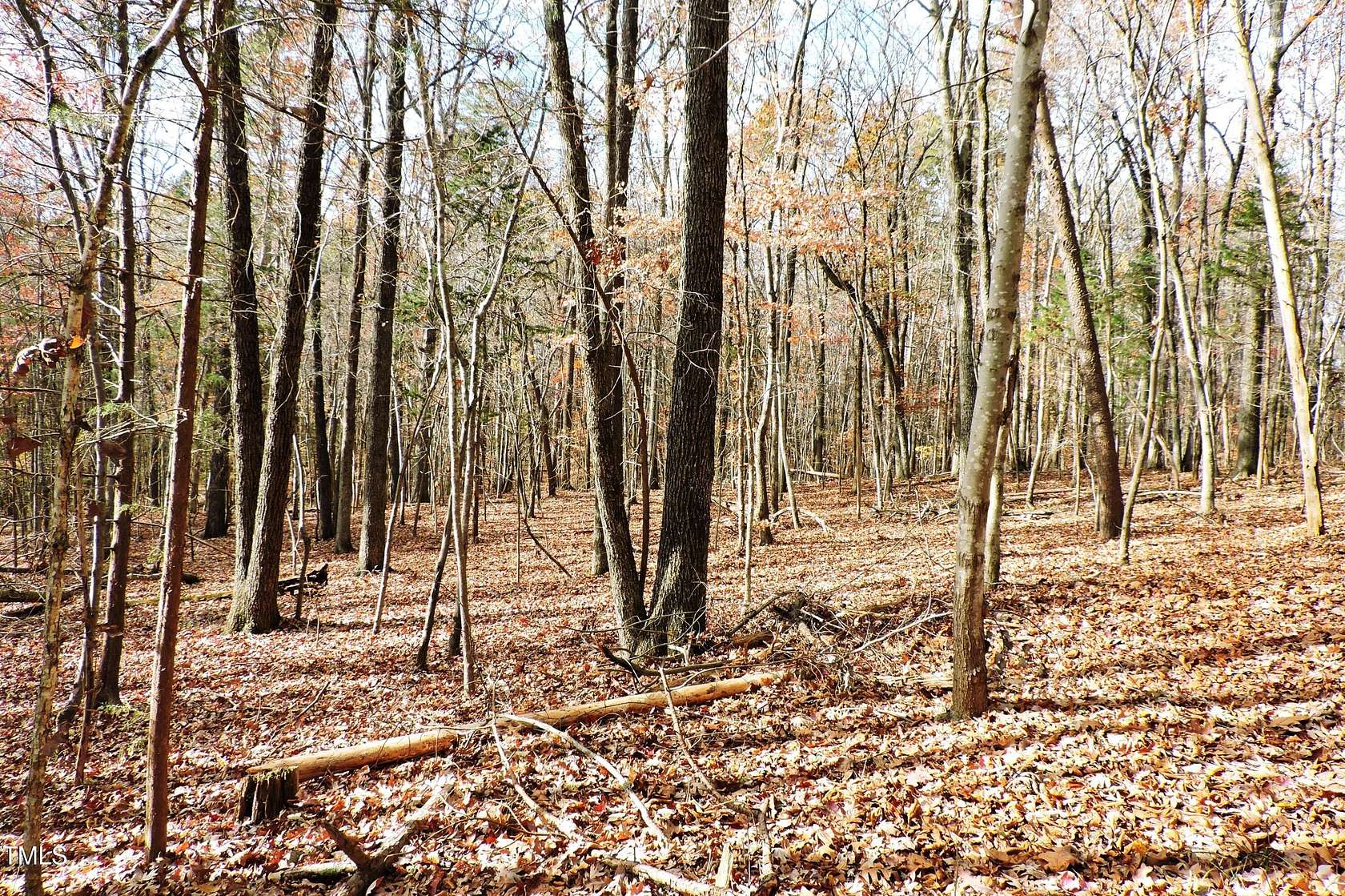 36.9 Acres of Recreational Land for Sale in Hillsborough, North Carolina