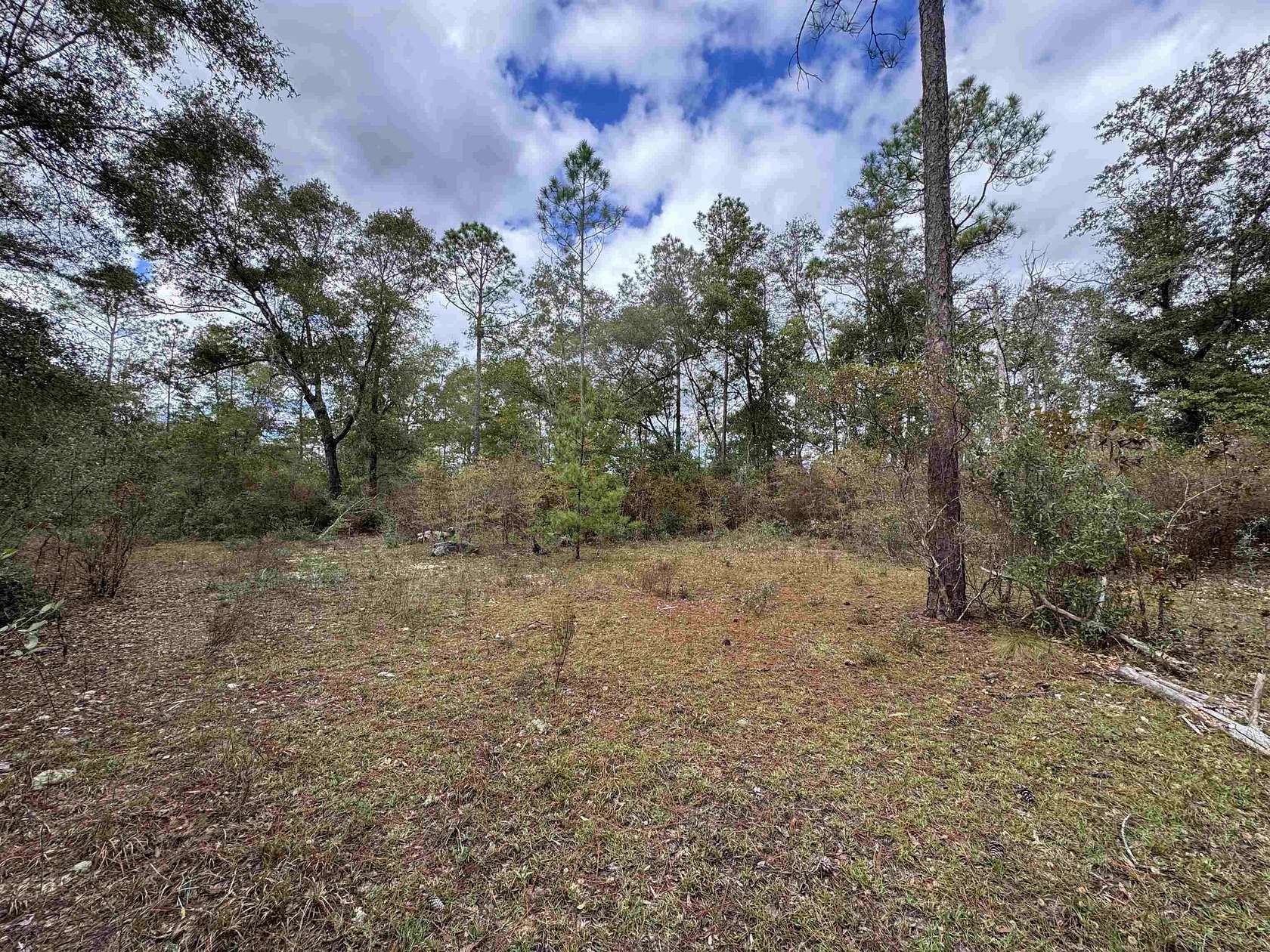 2.41 Acres of Residential Land for Sale in Tallahassee, Florida