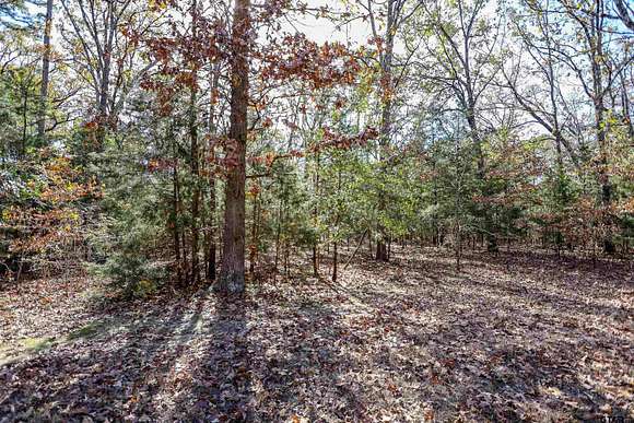 0.6 Acres of Residential Land for Sale in Mount Vernon, Texas