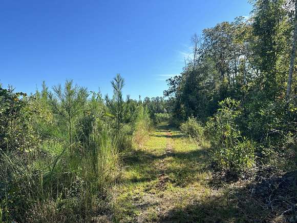 14.5 Acres of Recreational Land for Sale in Laurel Hill, Florida