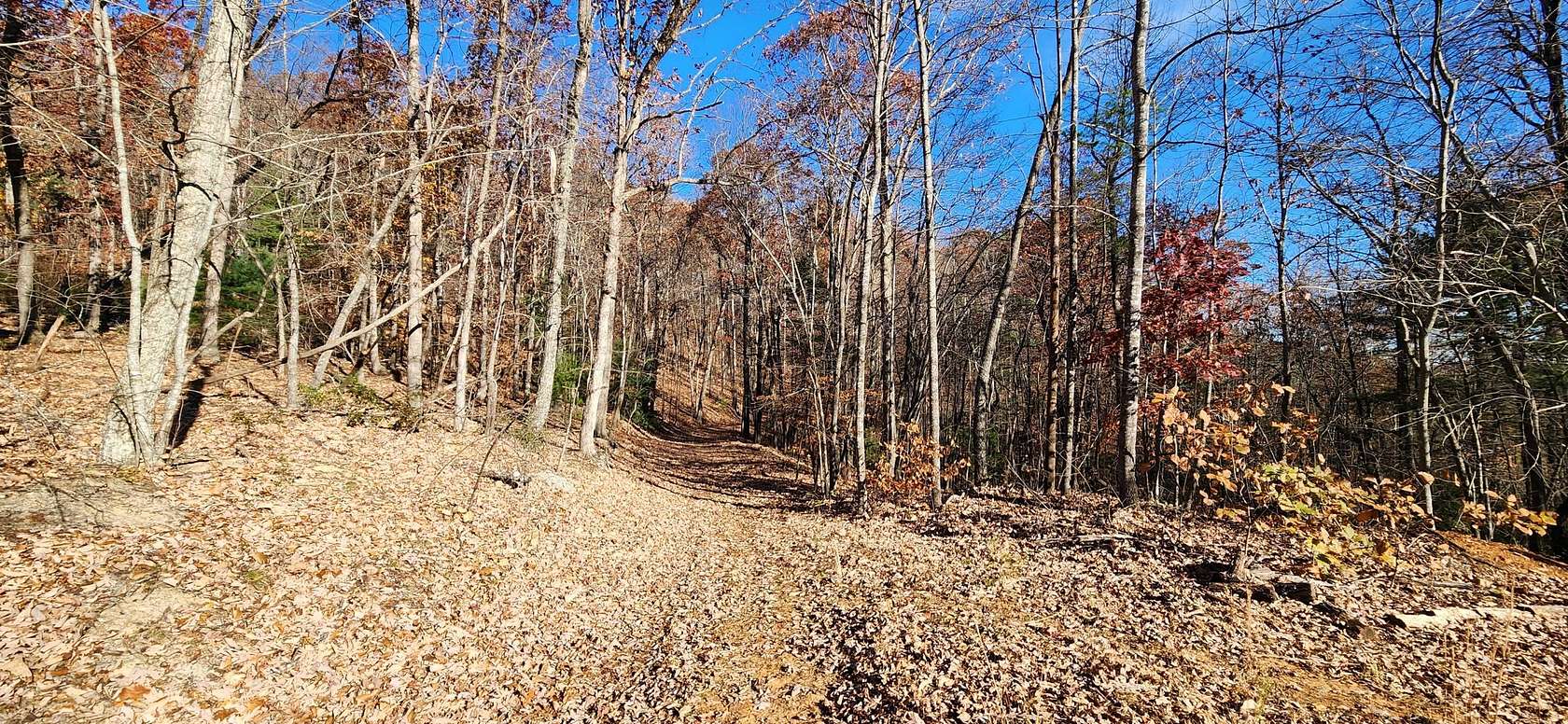 63.03 Acres of Recreational Land for Sale in Rocky Mount, Virginia