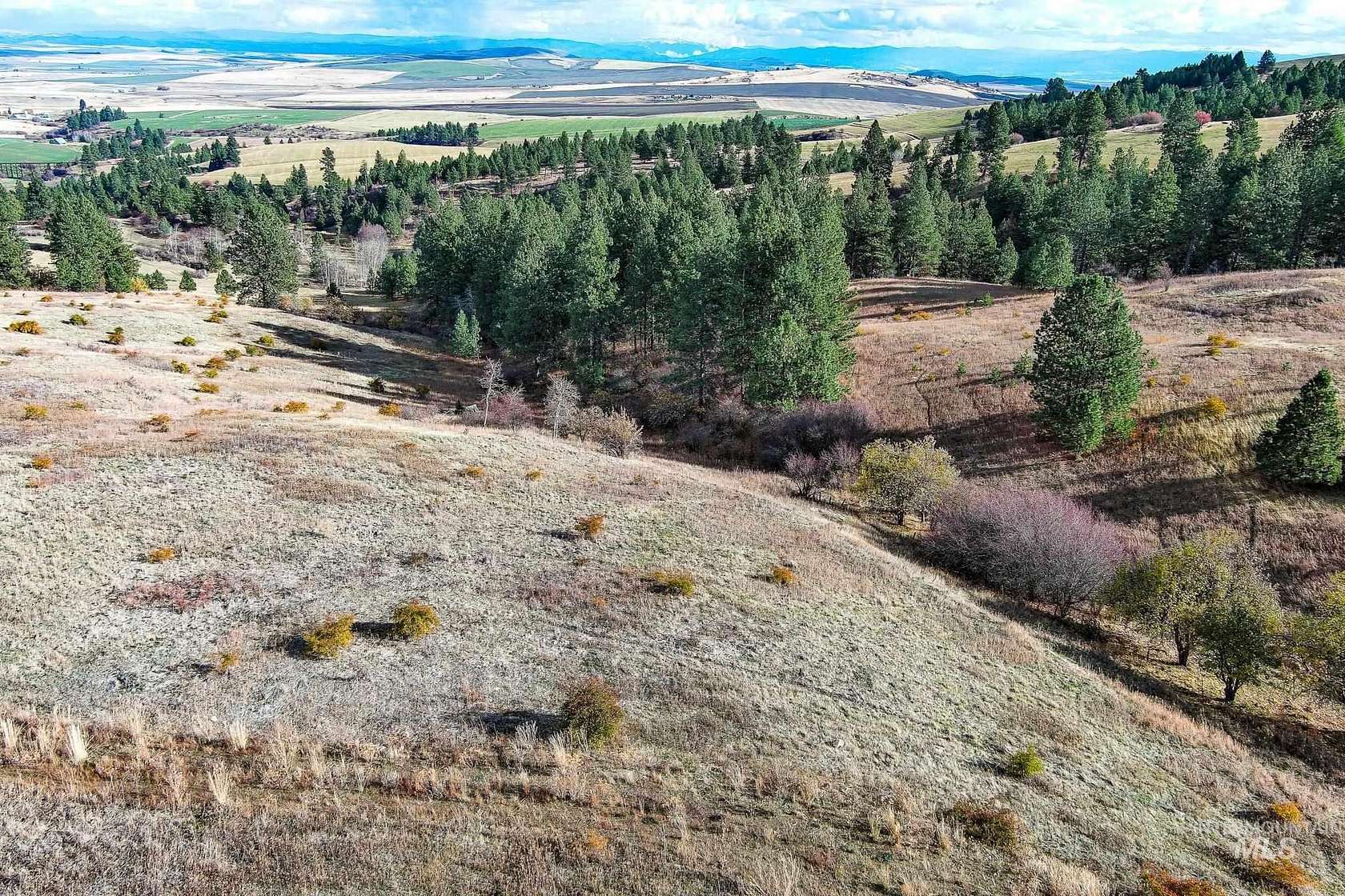 15 Acres of Land for Sale in Cottonwood, Idaho