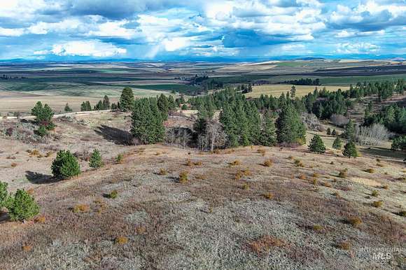 15 Acres of Land for Sale in Cottonwood, Idaho