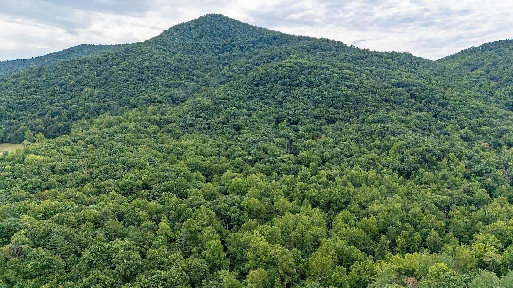 48.48 Acres of Recreational Land for Sale in Crozet, Virginia