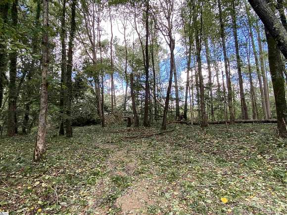 70 Acres of Recreational Land for Sale in Inman, South Carolina