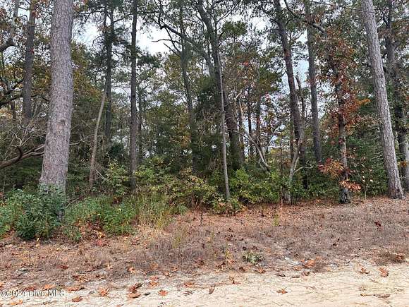 0.08 Acres of Residential Land for Sale in Jarvisburg, North Carolina