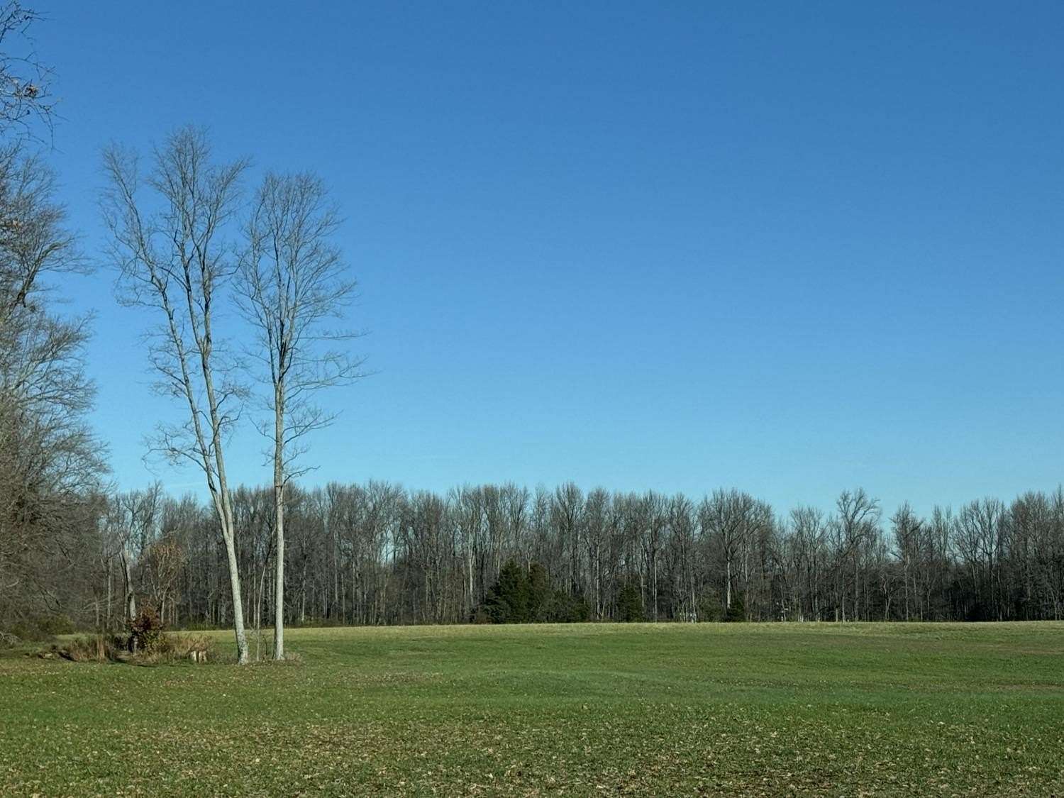 8.411 Acres of Land for Sale in Milan, Indiana