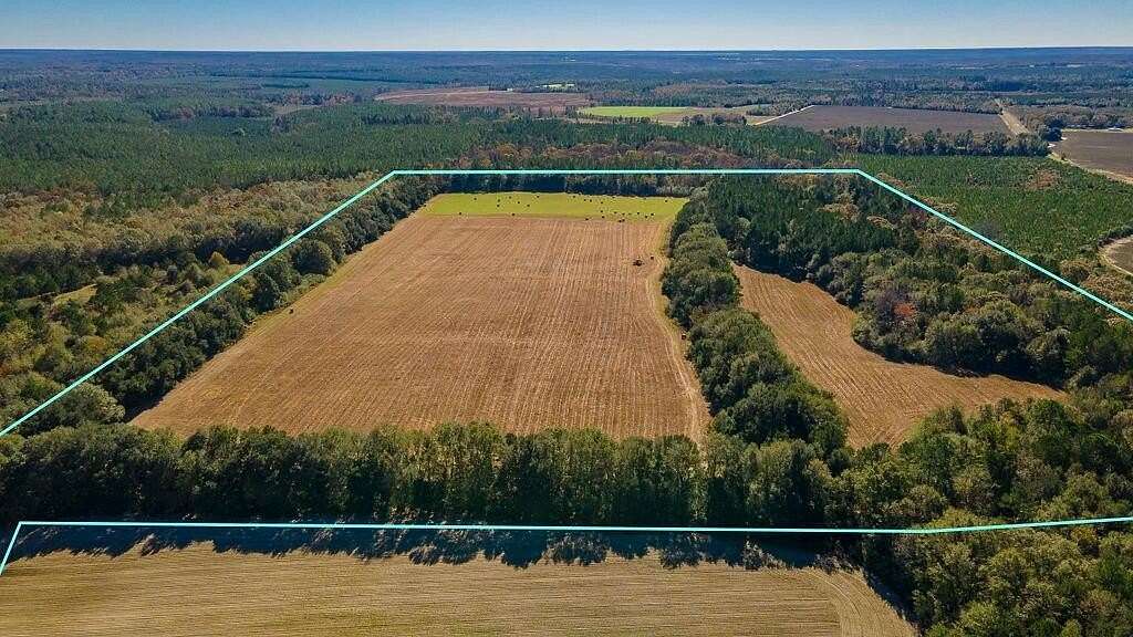 53.86 Acres of Agricultural Land for Sale in Wagener, South Carolina