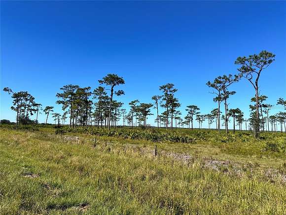 20.09 Acres of Land for Sale in Fort Meade, Florida