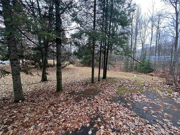 0.79 Acres of Residential Land for Sale in Wabeno, Wisconsin