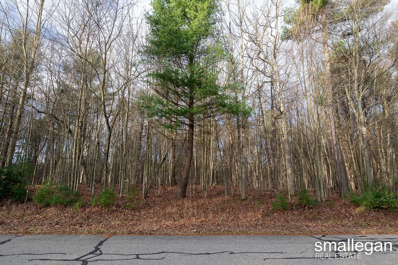 1.01 Acres of Residential Land for Sale in Whitehall, Michigan