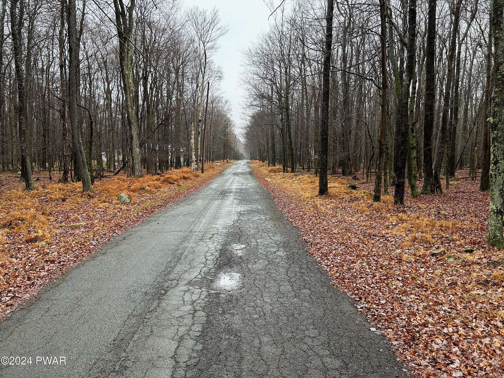 0.29 Acres of Residential Land for Sale in Newfoundland, Pennsylvania