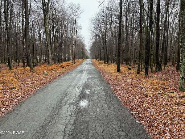 0.29 Acres of Residential Land for Sale in Newfoundland, Pennsylvania