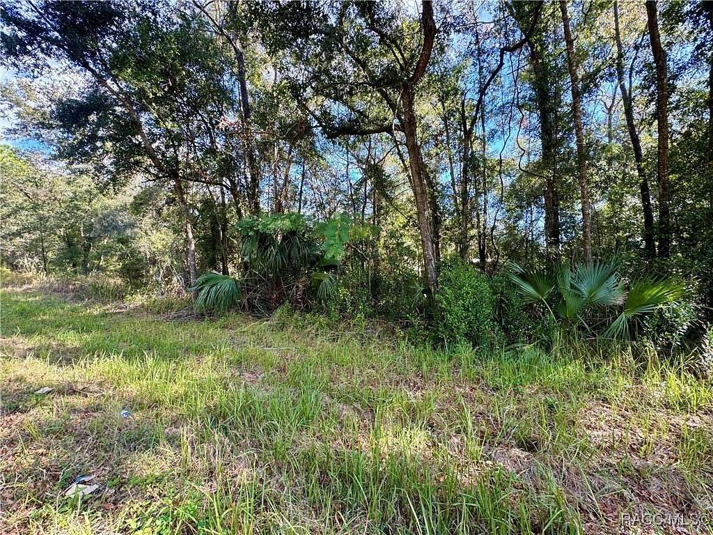 0.5 Acres of Residential Land for Sale in Inverness, Florida