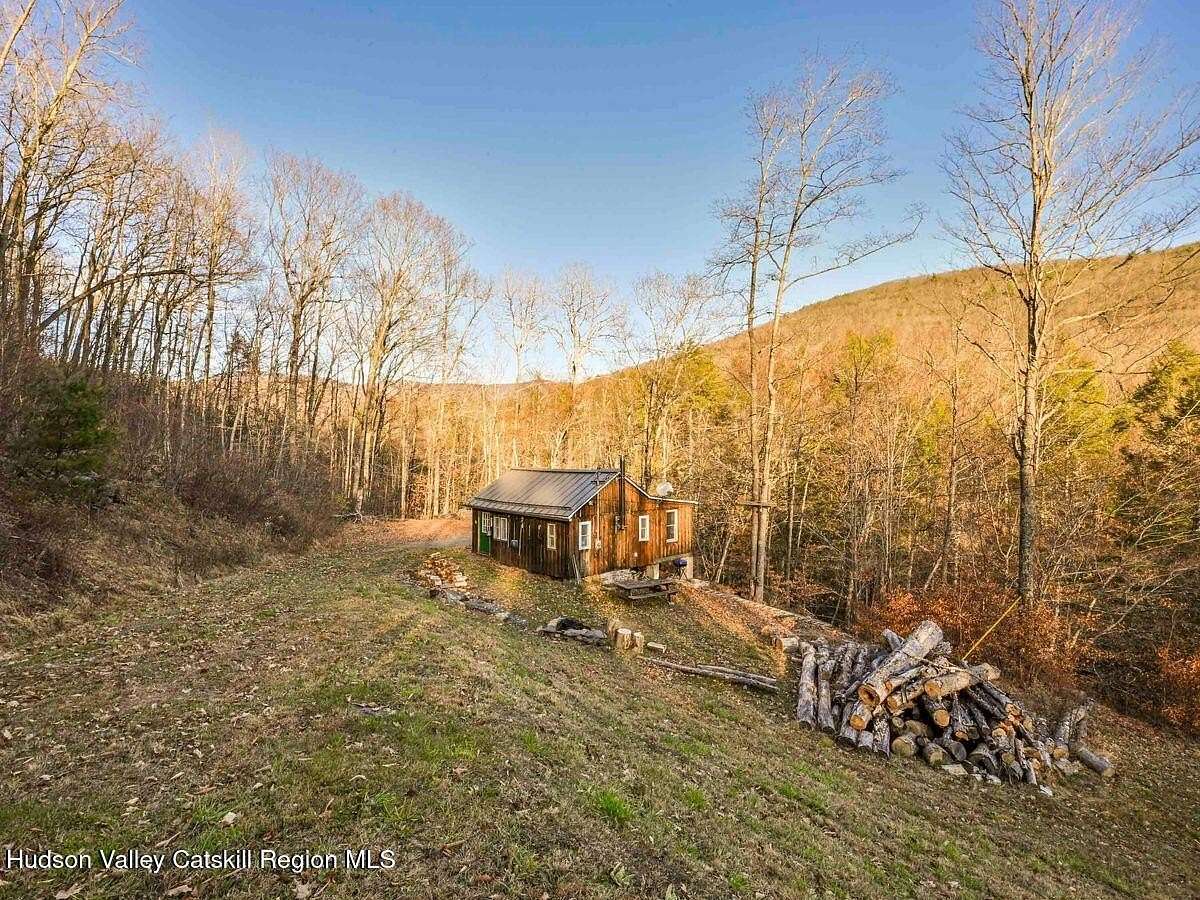 3.1 Acres of Residential Land with Home for Sale in Shandaken, New York