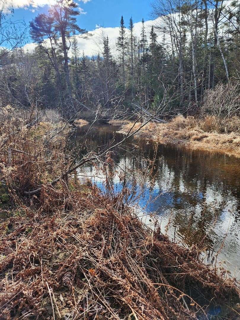 3.5 Acres of Residential Land for Sale in Belfast, Maine