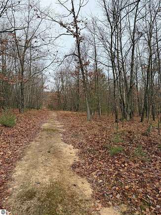 10 Acres of Recreational Land for Sale in Lake City, Michigan