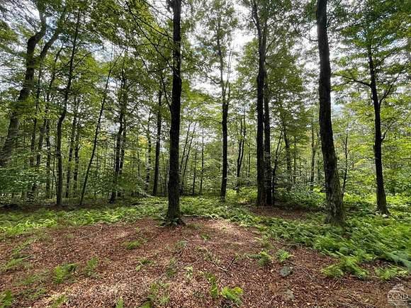 2.2 Acres of Land for Sale in Denning, New York