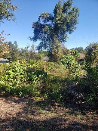 0.24 Acres of Land for Sale in Orange City, Florida