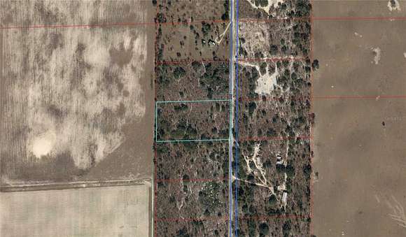 5 Acres of Agricultural Land for Sale in Williston, Florida