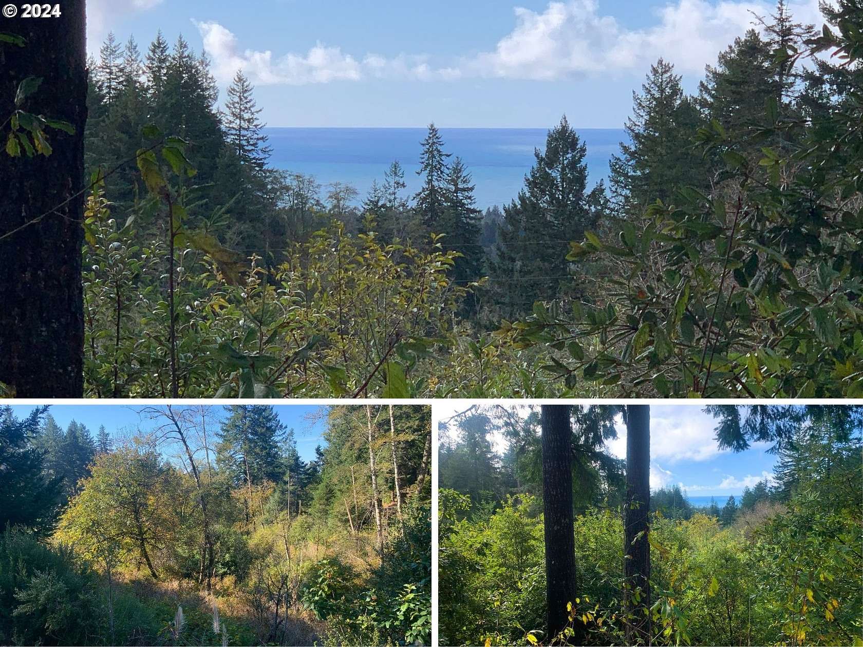 11.08 Acres of Recreational Land for Sale in Brookings, Oregon