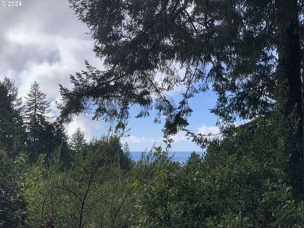 11 Acres of Land for Sale in Brookings, Oregon