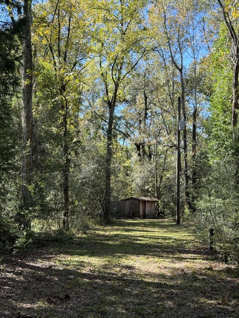 86 Acres of Recreational Land & Farm for Sale in Westville, Florida