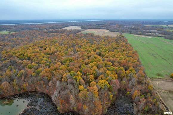 59.6 Acres of Recreational Land & Farm for Sale in Brookport, Illinois