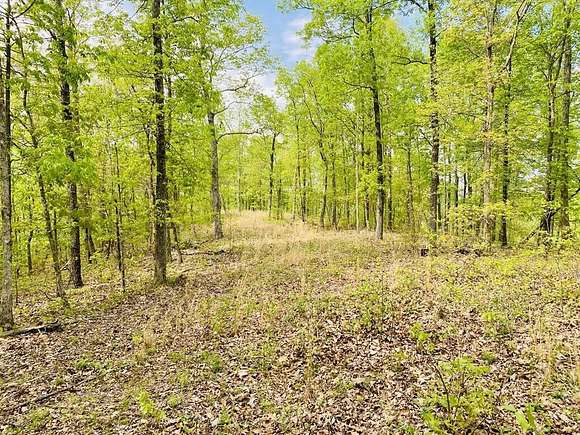 20.05 Acres of Recreational Land for Sale in Stewart, Tennessee