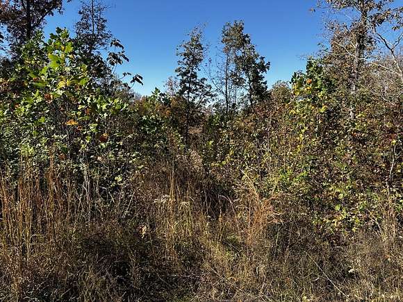 12.79 Acres of Land for Sale in Stewart, Tennessee