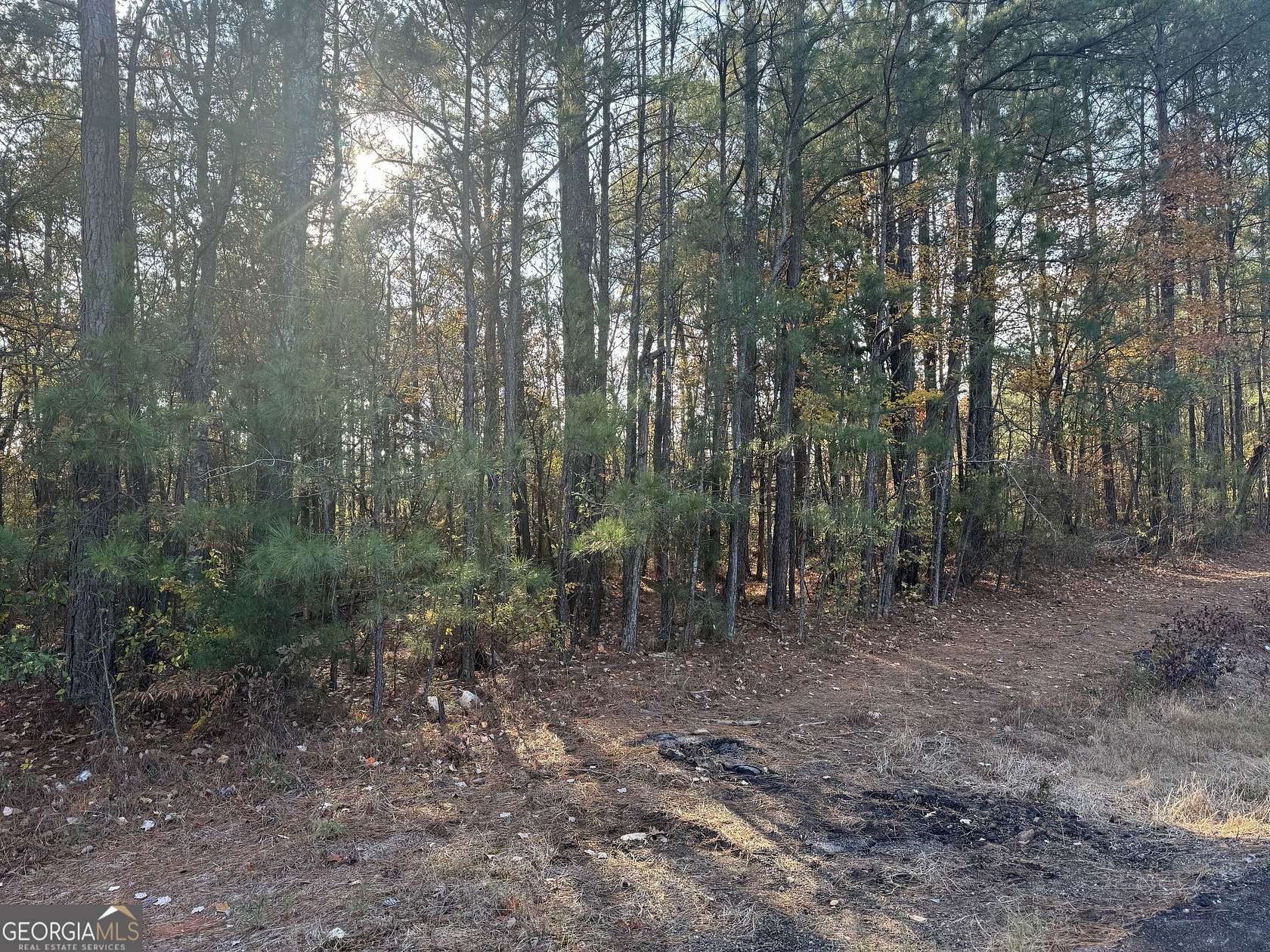 1.65 Acres of Land for Sale in Monticello, Georgia