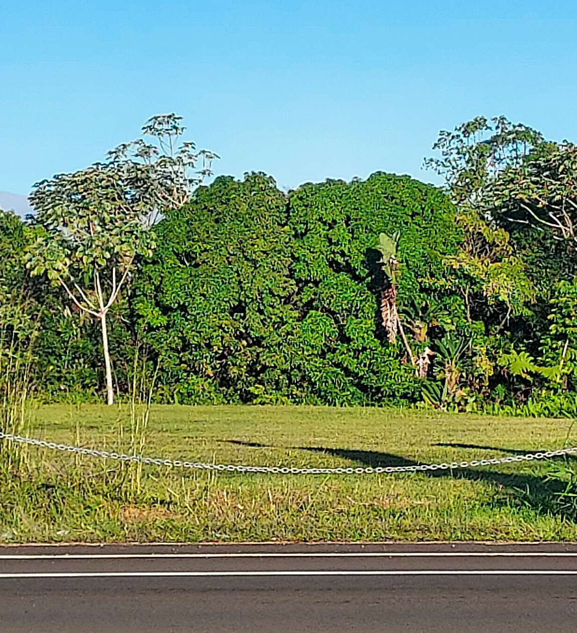 1 Acre of Residential Land for Sale in Pahoa, Hawaii