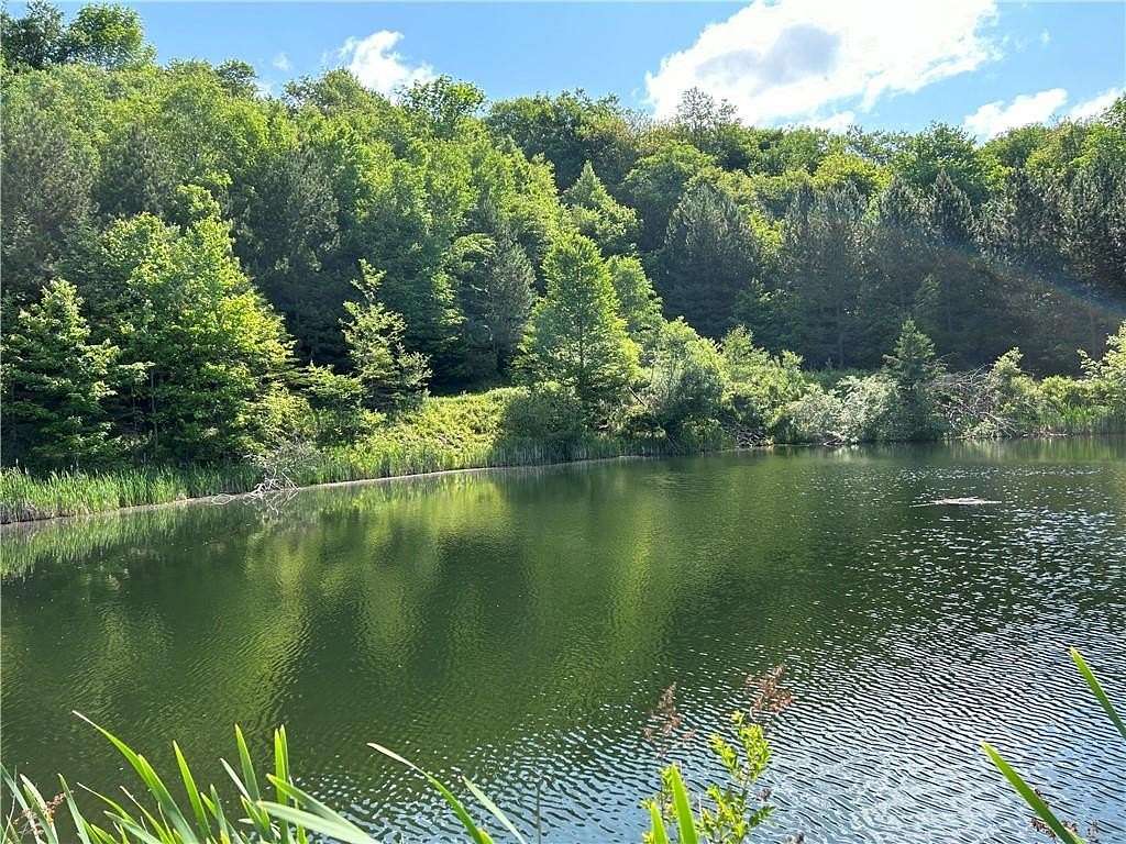 44.57 Acres of Recreational Land with Home for Sale in Colchester, New York