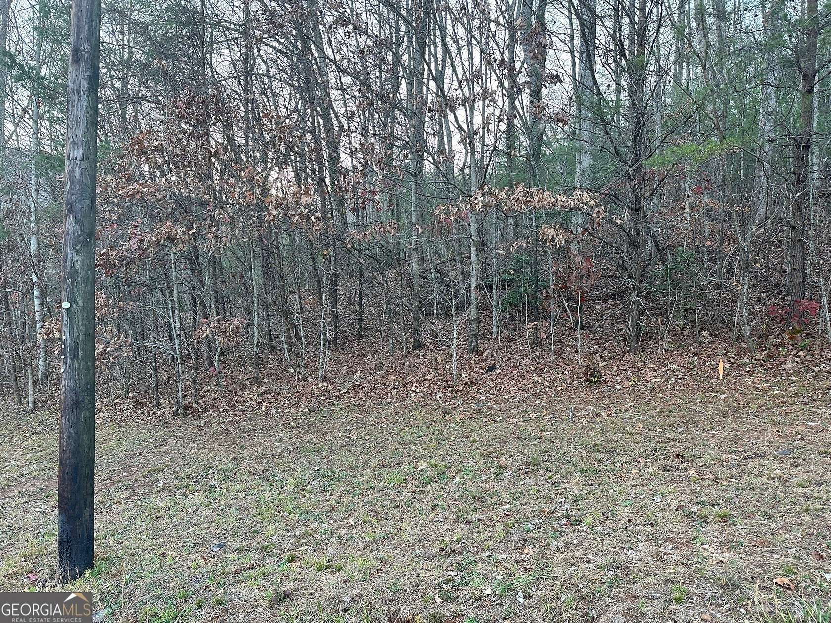 1 Acre of Residential Land for Sale in Mountain City, Georgia