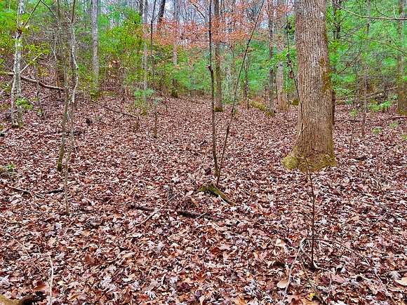 5 Acres of Land for Sale in Blue Ridge, Georgia